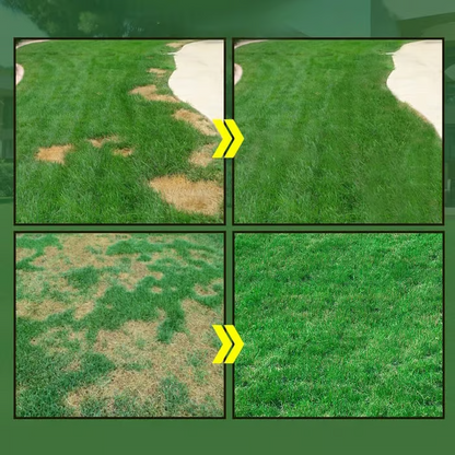 🔥Last Day 73% OFF🌱Hydro Seeding Lawn Solution
