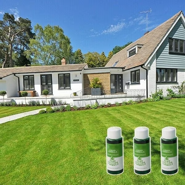 🔥Last Day 73% OFF🌱Hydro Seeding Lawn Solution